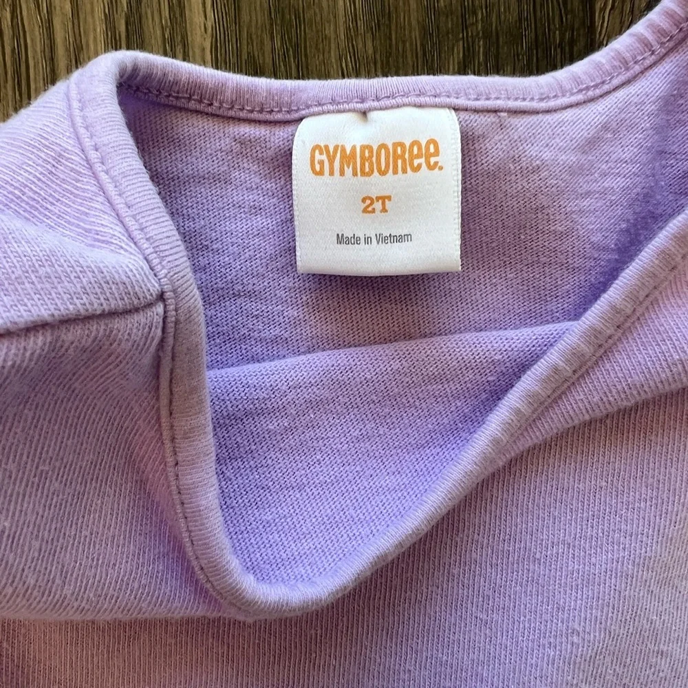 Gymboree Purple Long Sleeve Dress